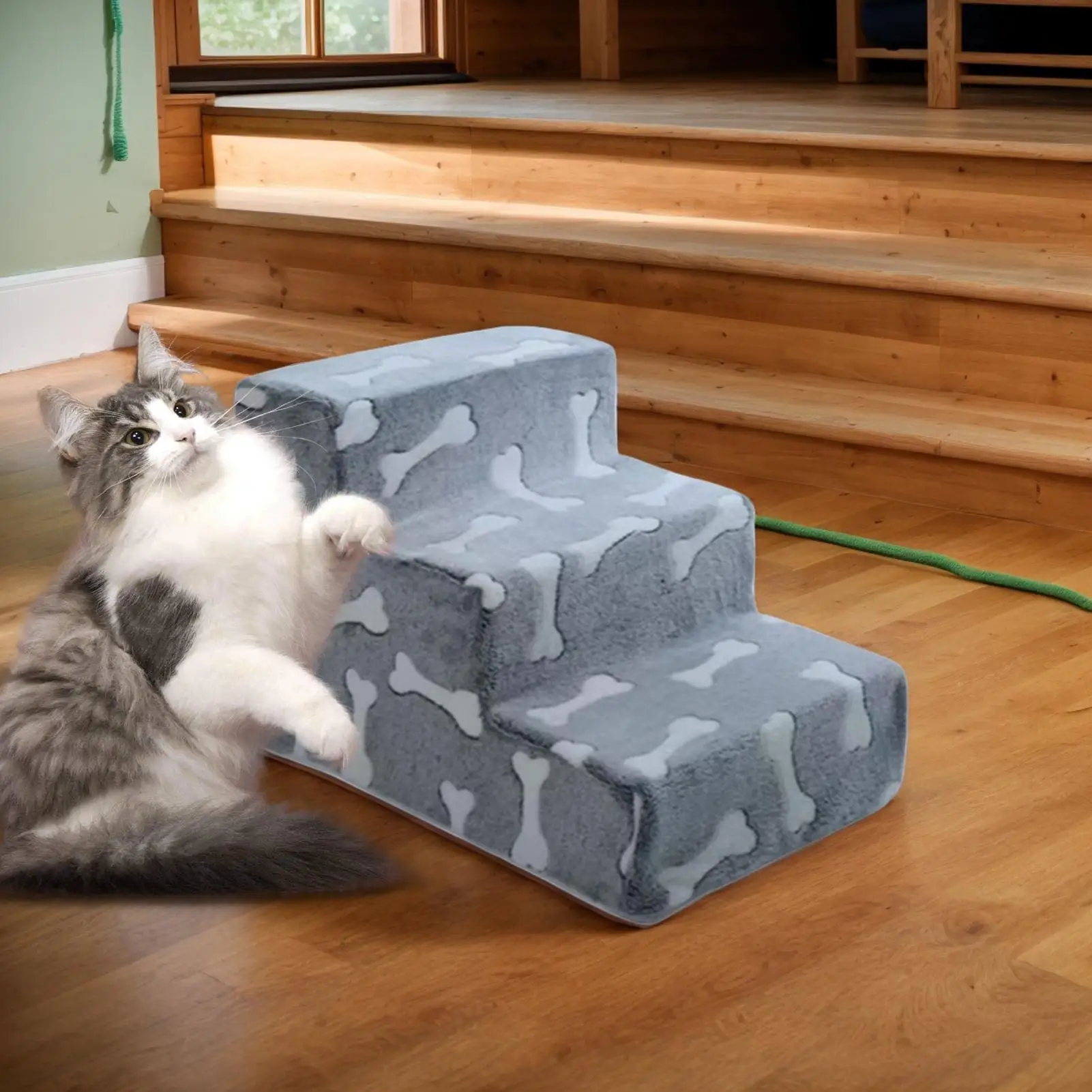 Thumbnail 2 - #6 Compare Puppy Ramps Before You Buy