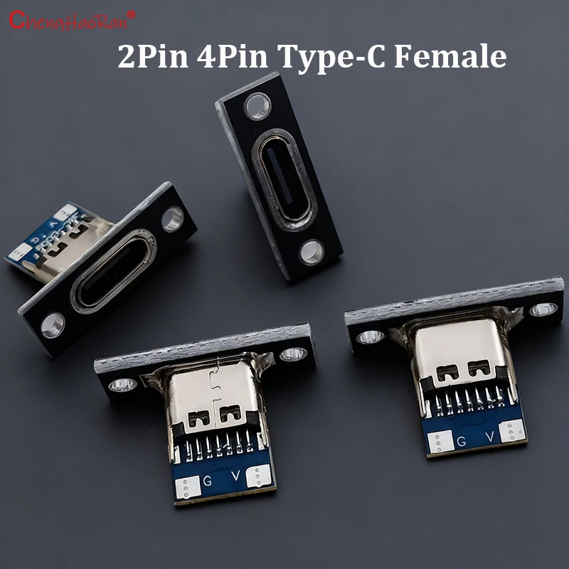 

2/5/10PCS Plate 3.1 Type-C Female Connector Jack 2Pin 4Pin USB Jack Data Charging Port Small Electrical Charging Base