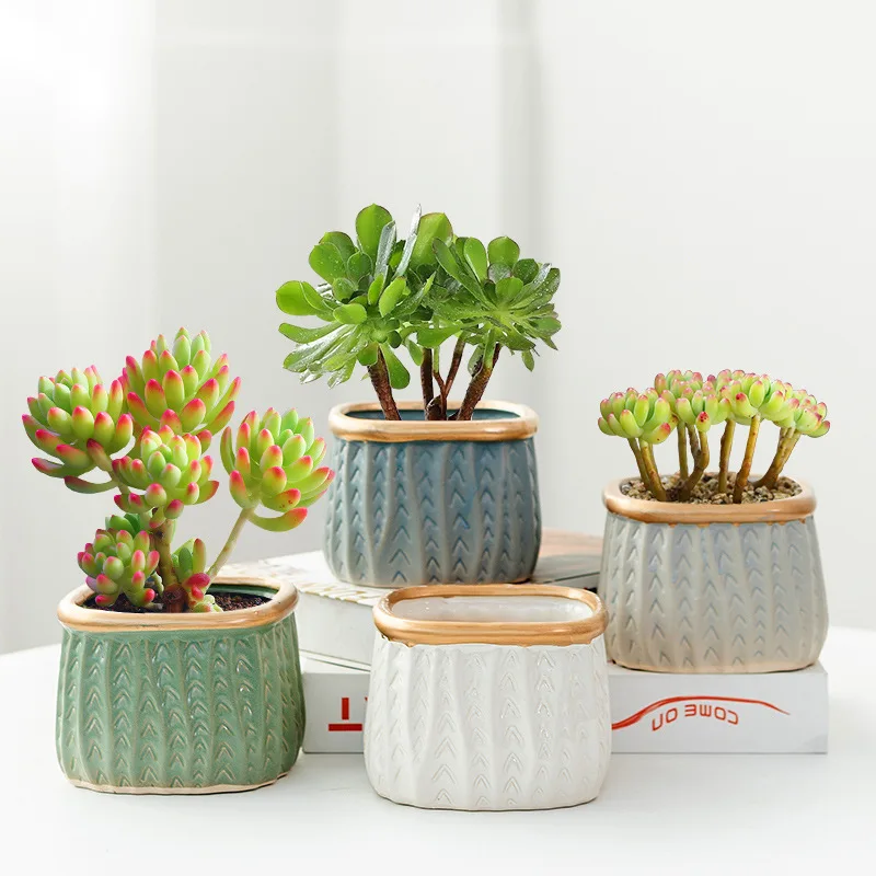 

Adorable Ceramic Planter for Small Plants - Ideal for Succulents and Cacti