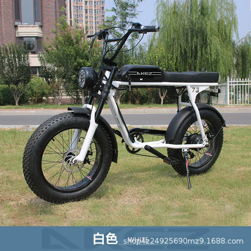 велосипед 20-inch Adult Fatbike Outdoor Cycling Snow Tires Retro Off-road Beach Variable Speed Electric Bicycle image 3