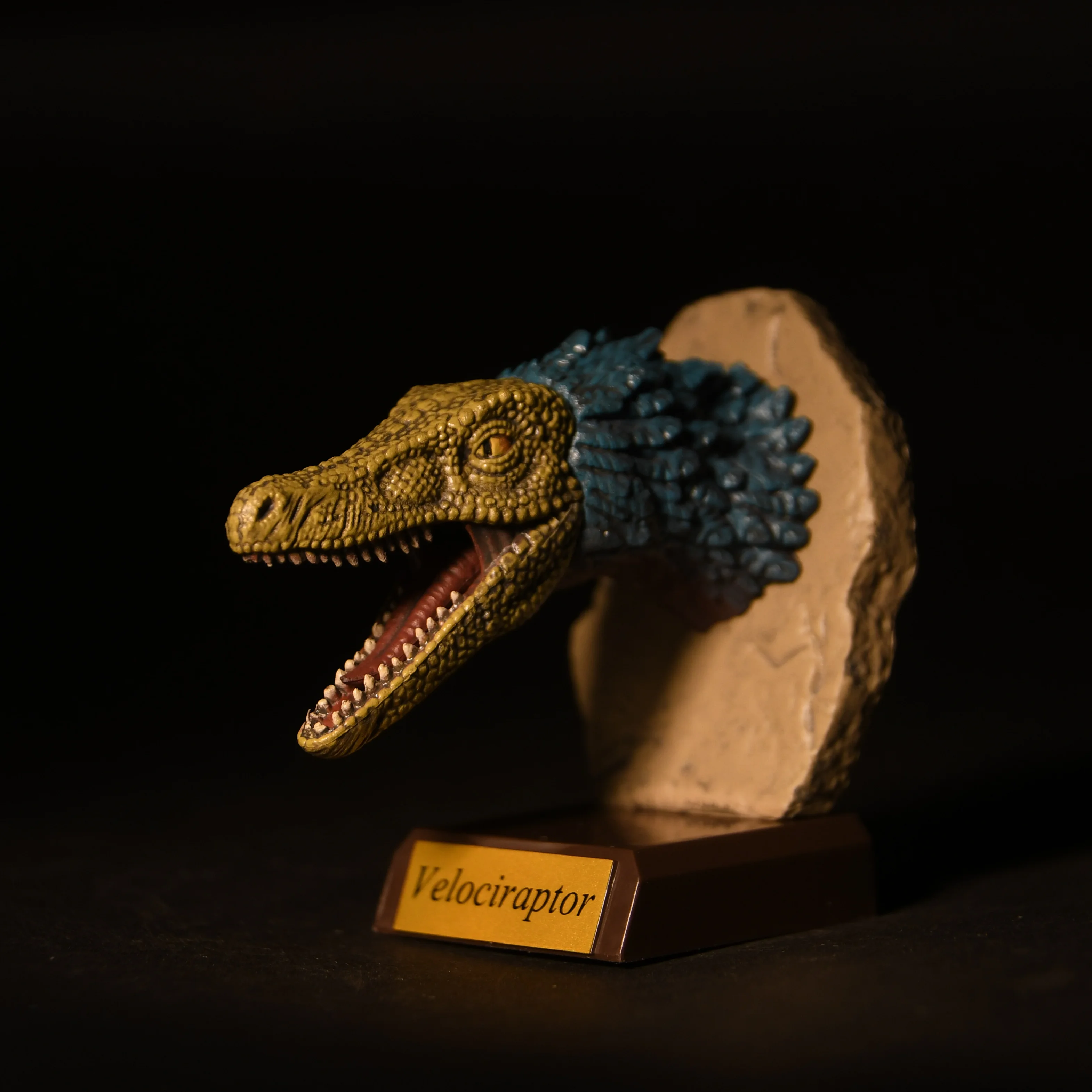 Qualia capsulespeelgoed Echte woeste Dinosaur Head Collection jachttrofee Triceratops Tyrannosaurus realistische ornamentenfiguren