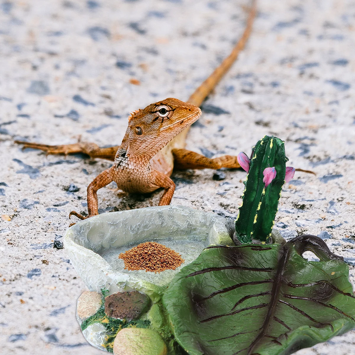 

1Pcs Crawler Food Dish Reptile Bowl Scratch-Resistant Non-Absorbent Pet Feeder for Snacks Water Turtle Lizard Tortoise Small