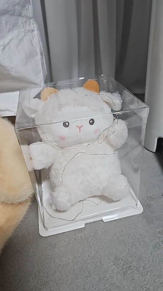 리뷰 사진