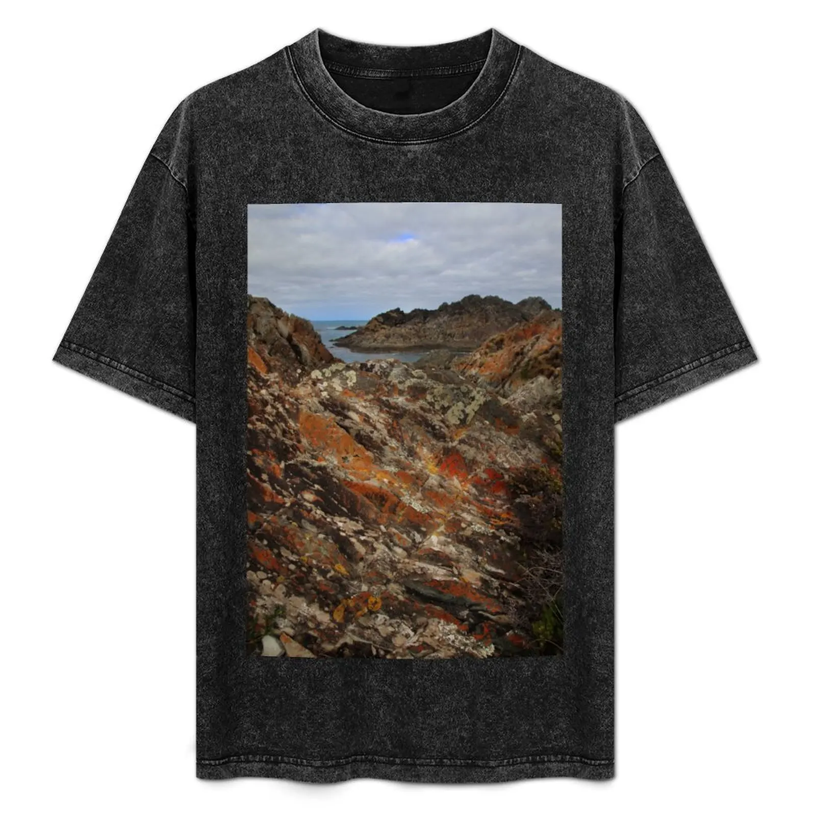 lichen covered outcrops at Sarah Ann Rocks (Tasmania) T-Shirt customs design your own custom shirt mens t shirt