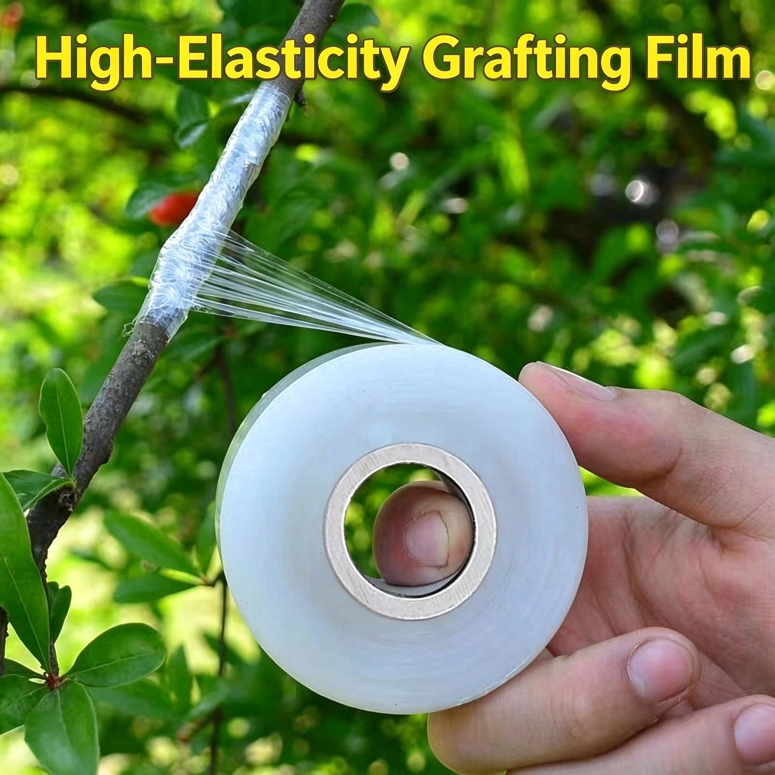 Fenggang Garden Grafting Knife Fruit Tree Grafting Bud Grafting Knife Membrane Gardening Tools Fast Delivery