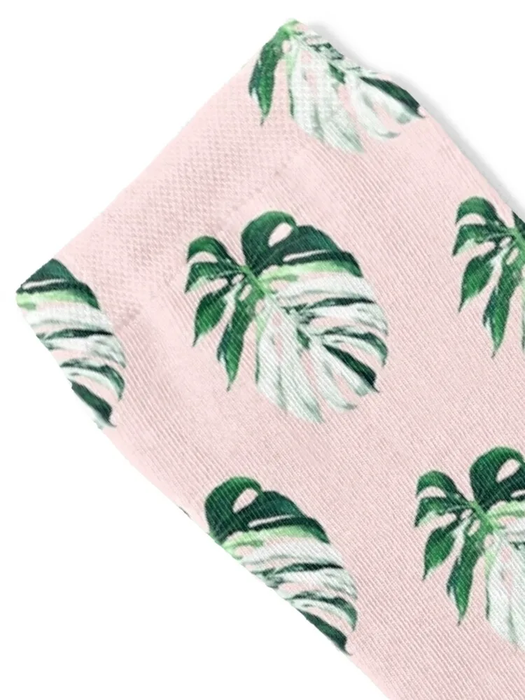 Monstera Albo Borsigiana in Pink Socks new in's moving stockings Stockings fashionable Socks For Girls Men's