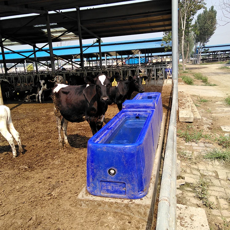 Blue 4m Automatic Plastic Trough Without Cover Impact Resistant Large Capacity Cow Water Drinker