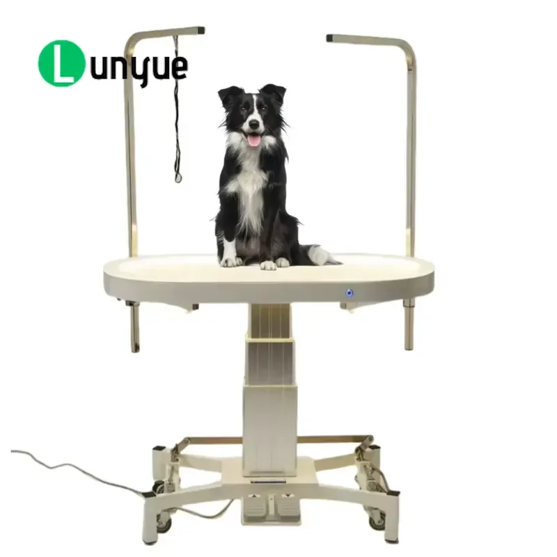 Professional Electric Lifting Pet Grooming Table Stainless Steel Luminous Eco Friendly Adjustable Height for Dogs Home
