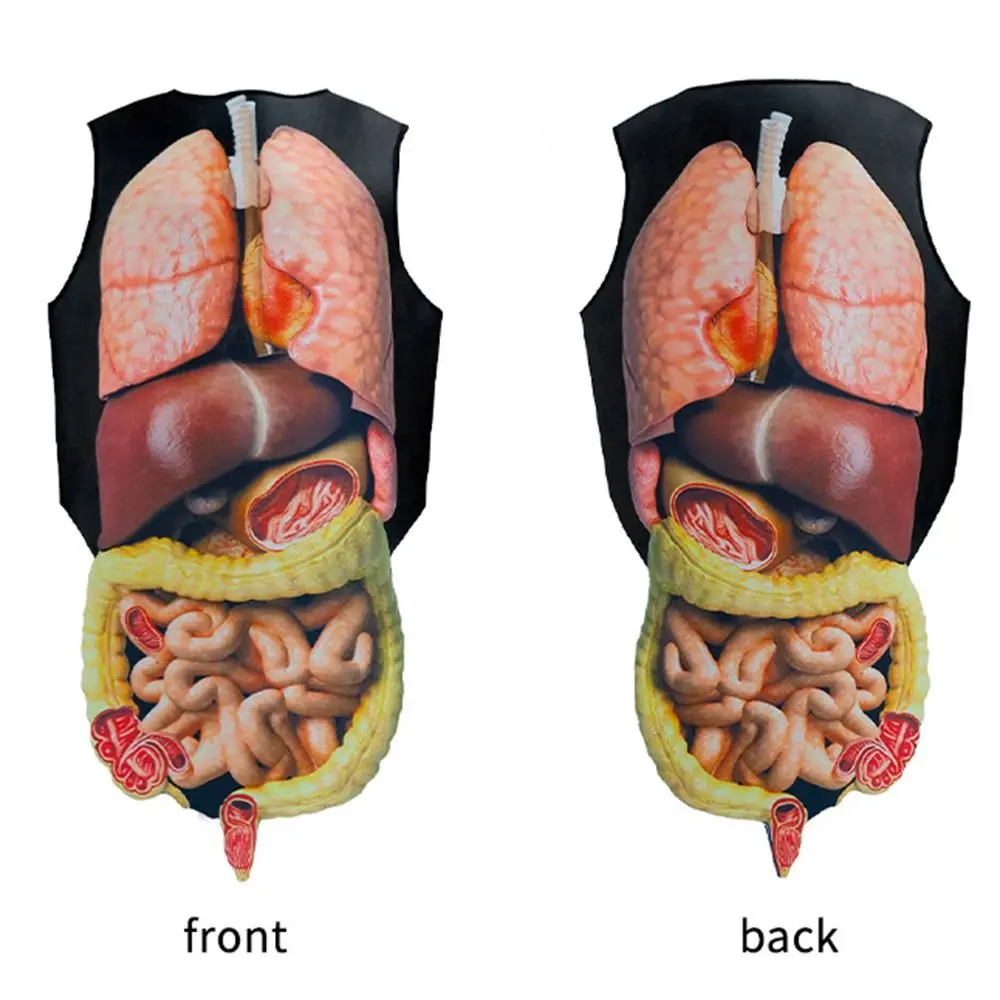 الإبداع تصميم القلب تأثيري حلي واقعية مضحك محاكاة الأعضاء البشرية زي مريح طباعة الأعضاء الحشوية