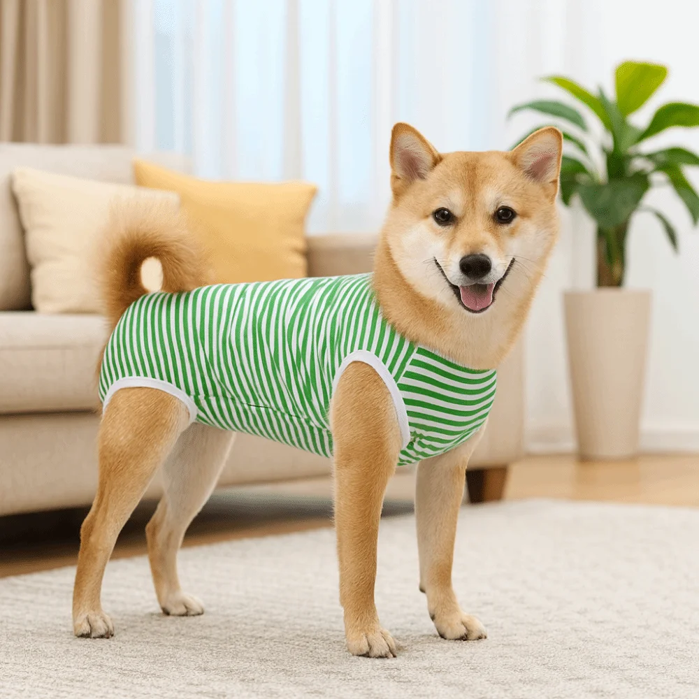 Elastic Dog Recovery Suit Washable Four-legged Anti-Licking Bodysuit Striped Design Dog Recovery Clothing Spay Recovery