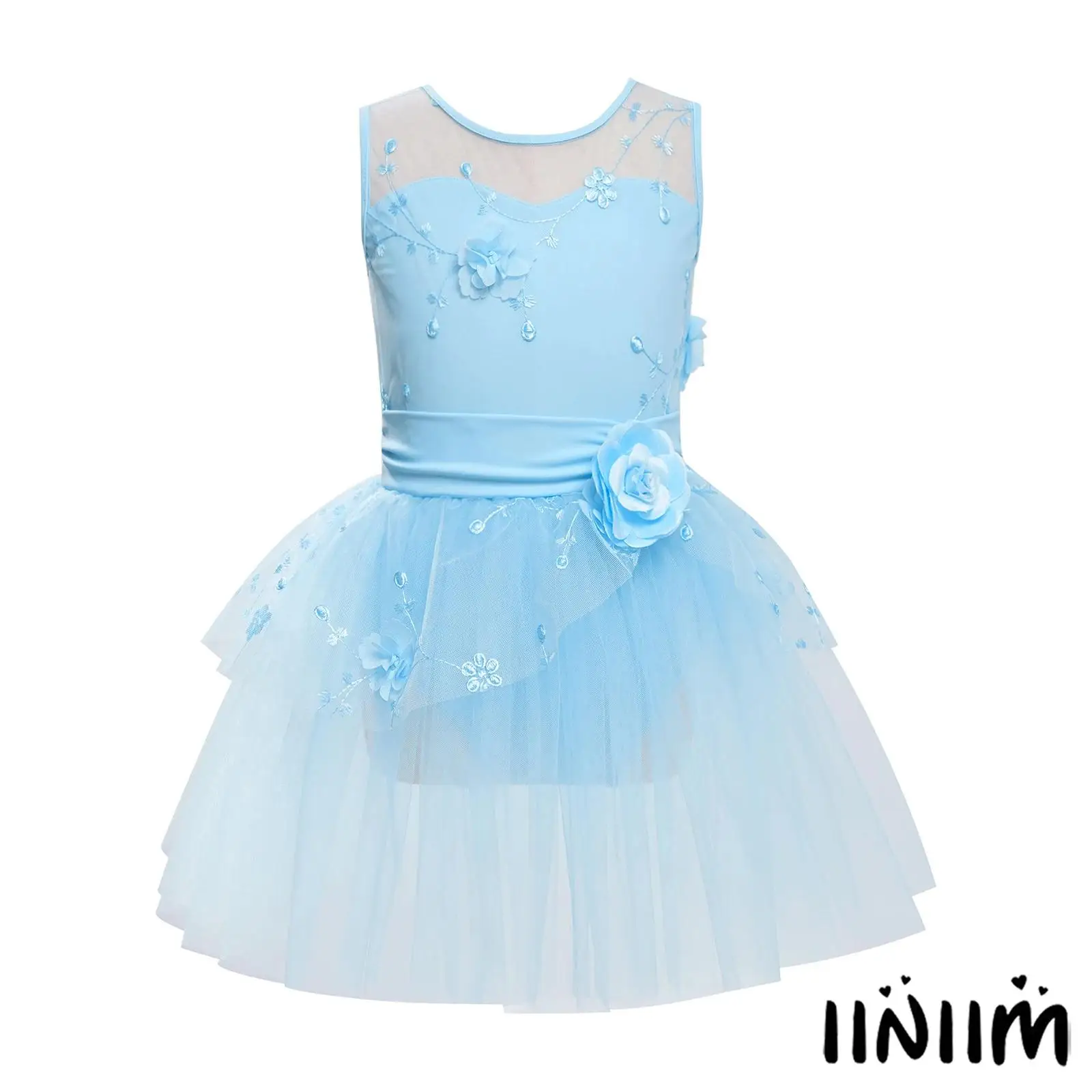 

Ballet Lyrical Dance Sleeveless Puffy Dress Kids Girls V-Back Applique Embroidered Dance Party Competition Tutu Dresses Costume