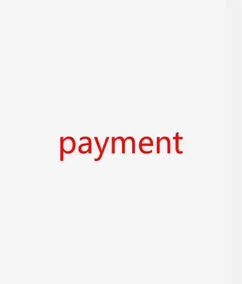 Payment For 10Pcs N… - image