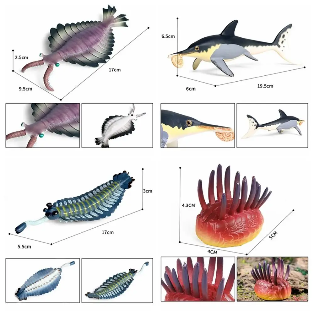 Pré-histórico oceano animal figura simulação anomalocaris vida marinha estatuetas antigo educacional trilobite figura criança brinquedos