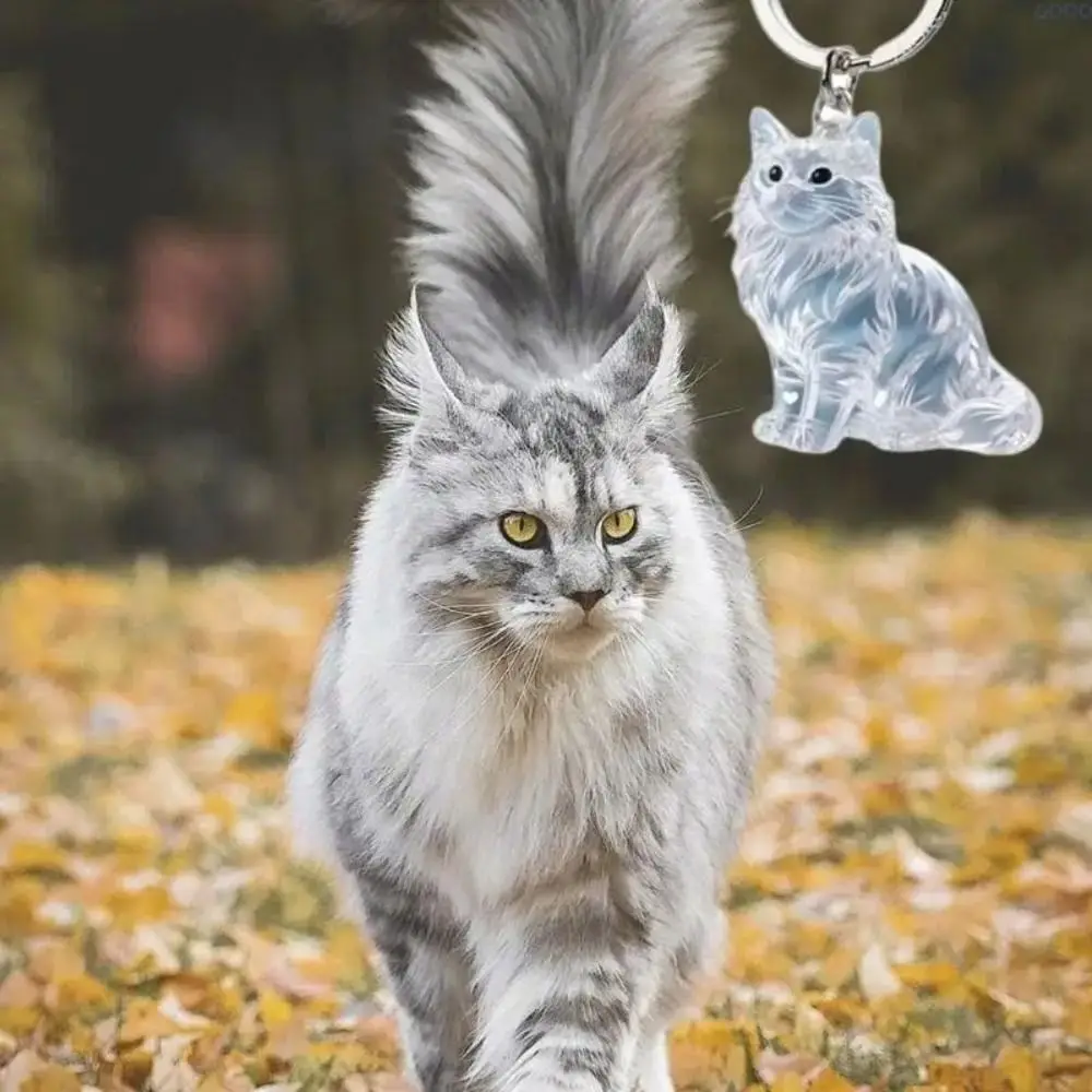 

Transparent Cat Hair Acrylic Keychain Animal Shaped Siamese Cat Cat Hair Storage Box Cute Portable Dog Fur Storage Pendant