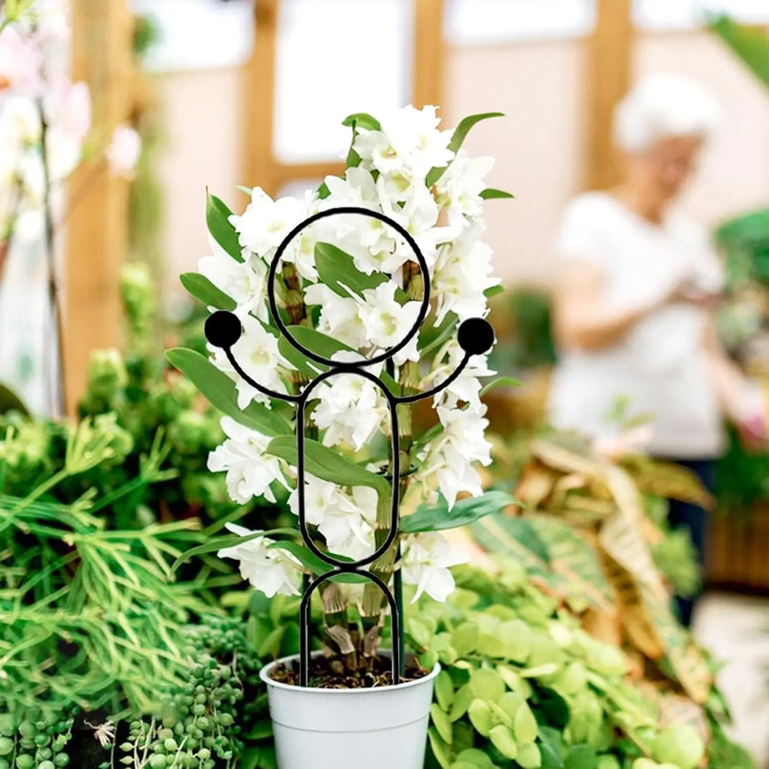 For Outdoor Indoor Plant Support Trellis Constructed from Iron with Artistic for Vines Flowers and Climbing Species