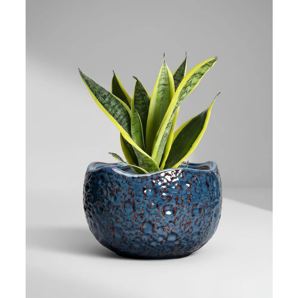 

8 Inch Ceramic Plant Pot with Drainage Hole - Modern Retro Blue Planter for Indoor Outdoor Plants, Home Decor Gift