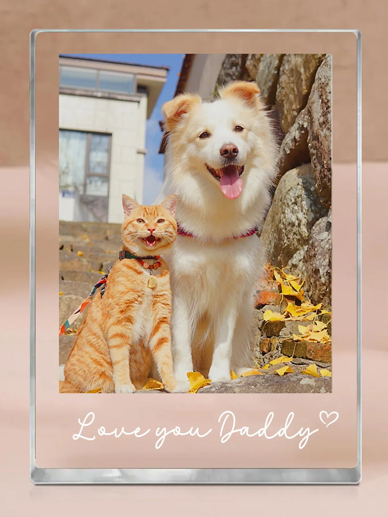 1PC Custom Pet Building Blocks - Personalized PMMA DIY Blocks with Name Custom, Creative Laser Engraved Unique Gift for Pet Love image 5