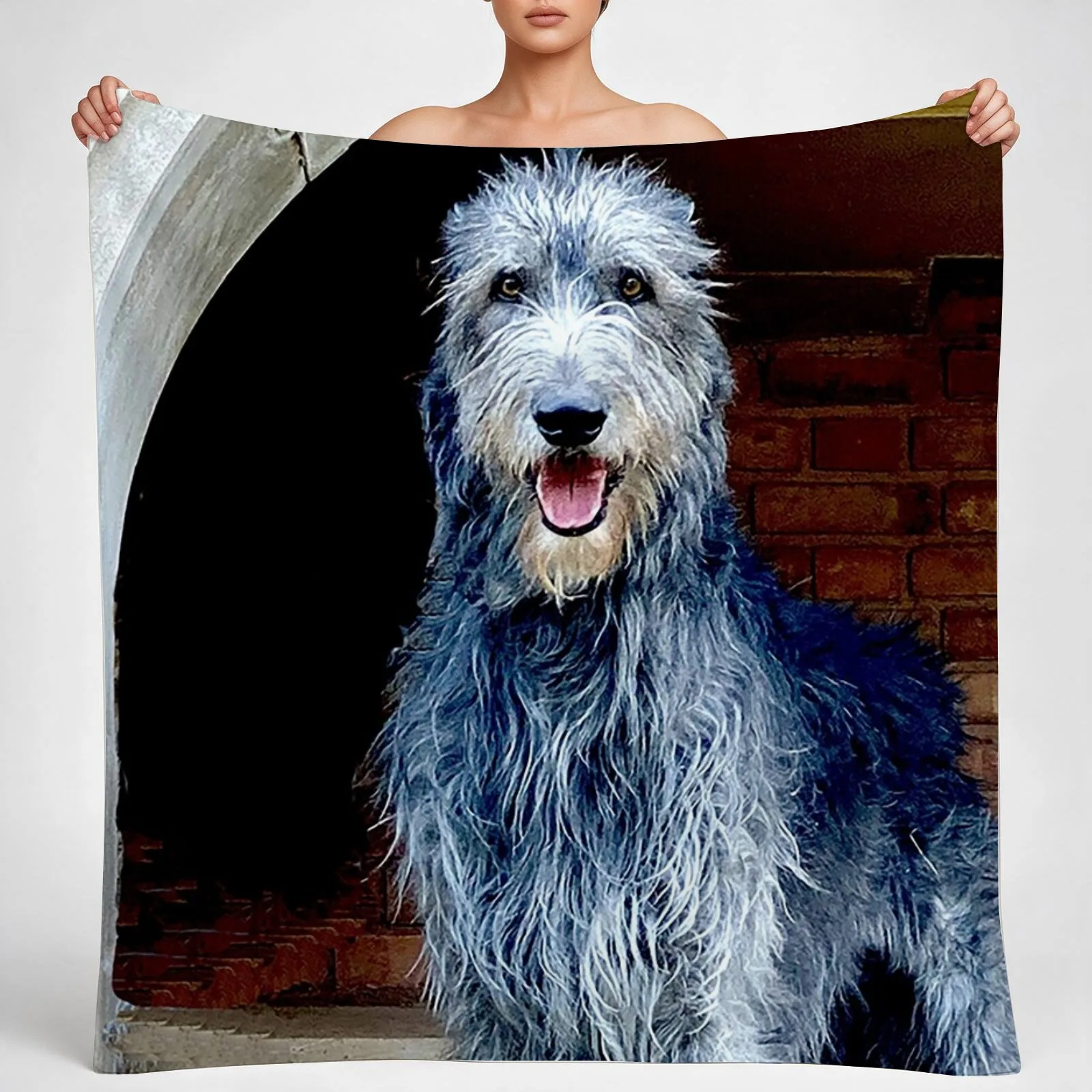 The Castle Guard Throw Blanket couch cozy soft plush fuzzy picnic outdoor blanket