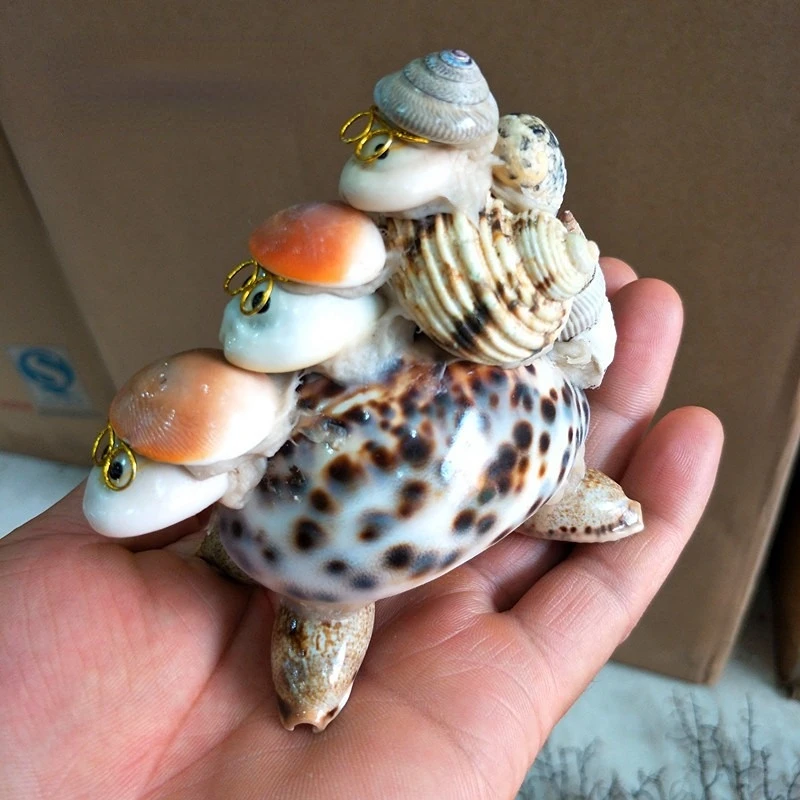 Discover the Art of Shell Work: A Complete Guide to Natural Shell Crafts for Kids, Homes, and Gifts
