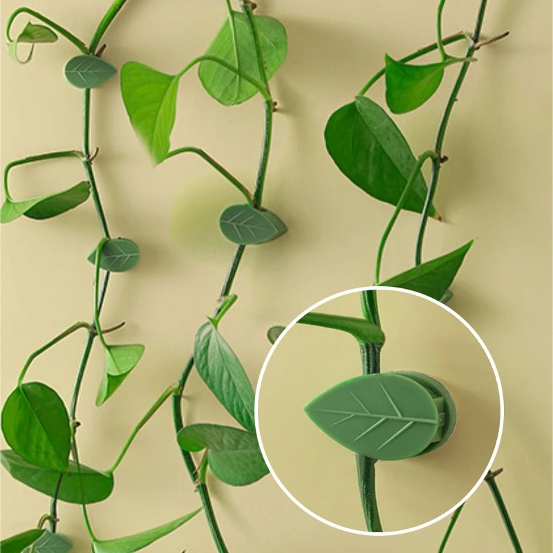 10Pcs Plant Climbing Wall Fixture Clips Rattan Vine Fixer Self-Adhesive Hook Invisible Garden Binding Clip Wall Sticky Outdoor