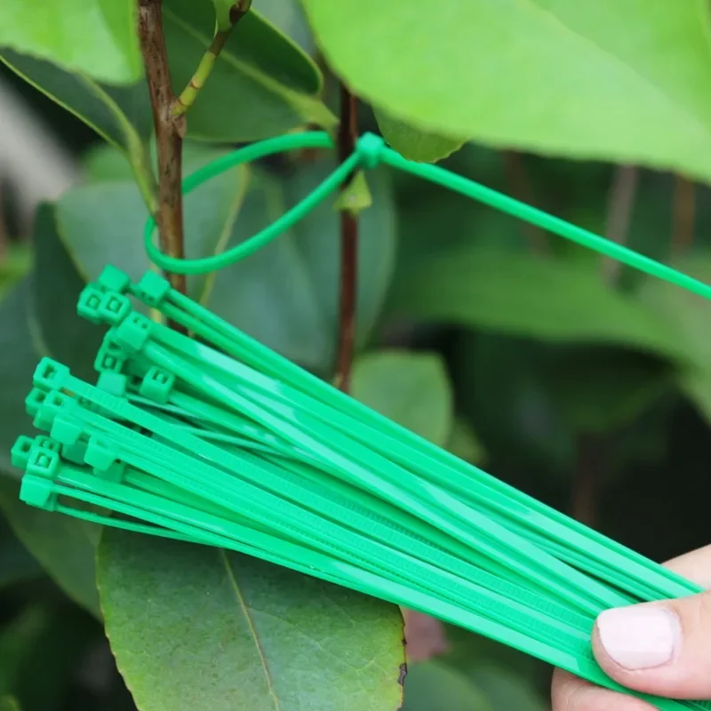 Attaches de câbles auto-bloquantes en nylon vert réglables, sangles de fixation polyvalentes pour support de plantes de jardin, enrouleurs de câbles, vente en gros
