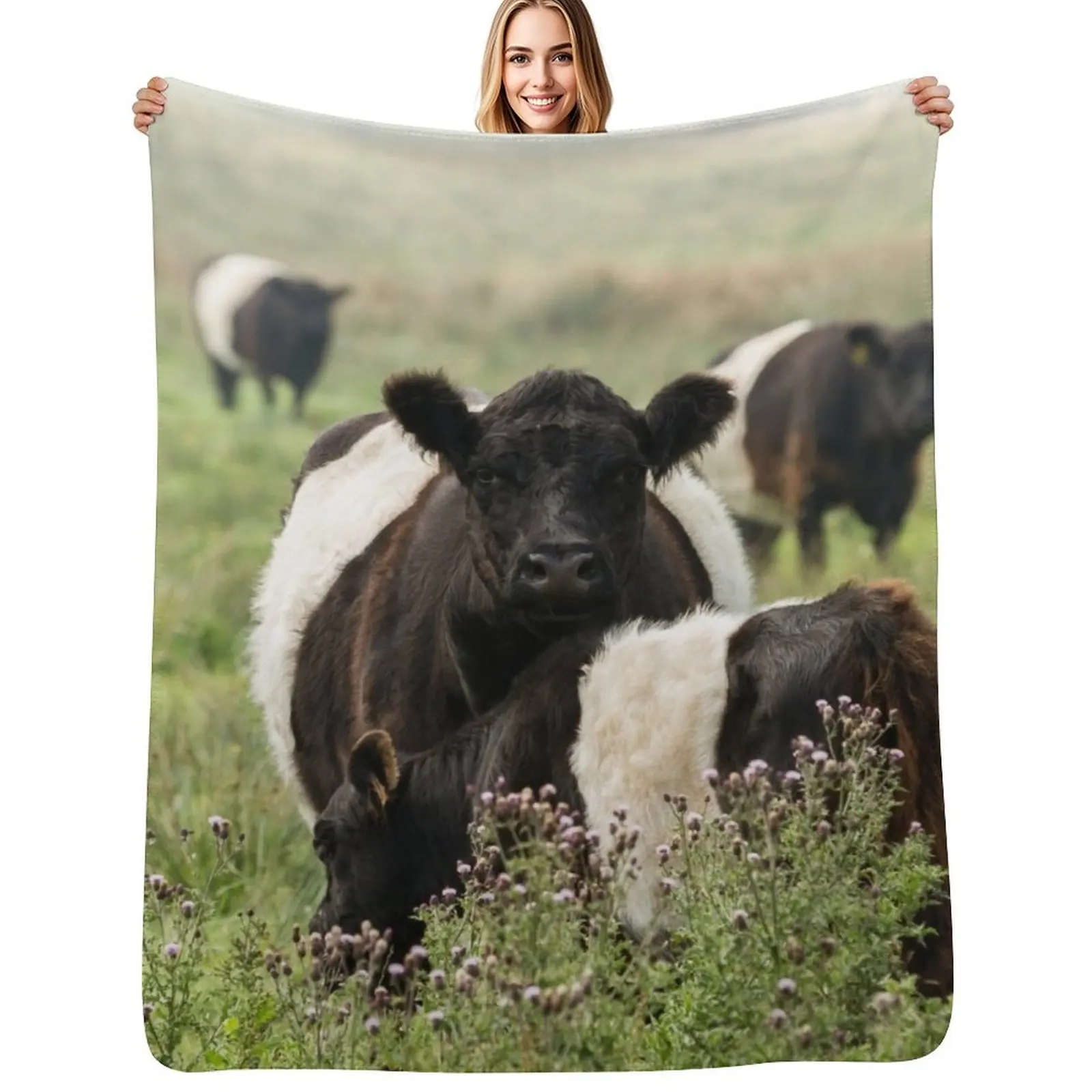 Belted Galloway Cows Throw Blanket Warm Accent Blanket for Living Room Decoration