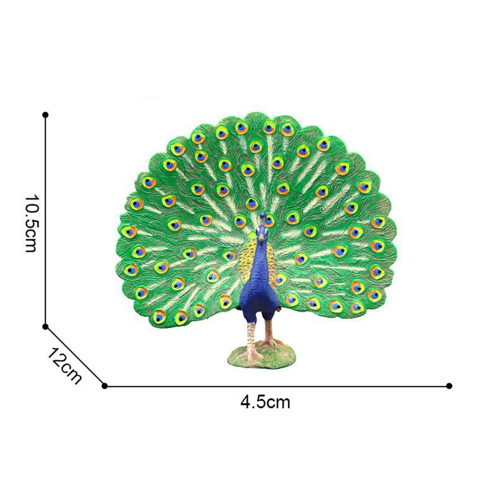 Lovely Peacock Figurine Professional Painted Craft Wear-resistant Multifunctional Realistic Peacock Model Figure Home Decoration