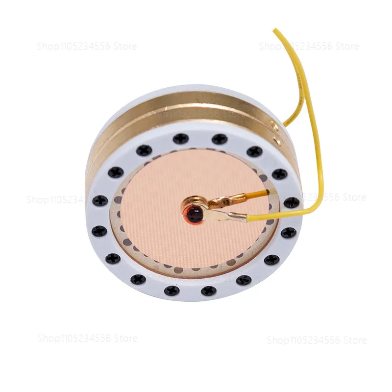 RK-87 single-sided large diaphragm professional anchor gold-plated film microphone core capacitive microphone head