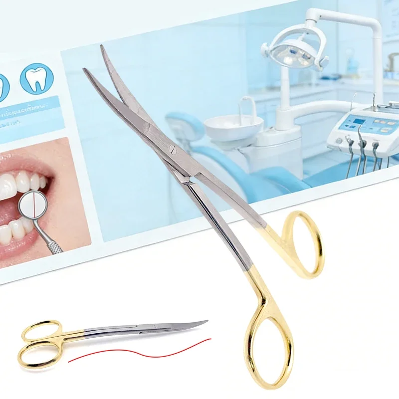 Dental Scissors Surgical S Shape Double Curved Gold Handle Ophthalmic Dissecting Scissors Medical Instrument
