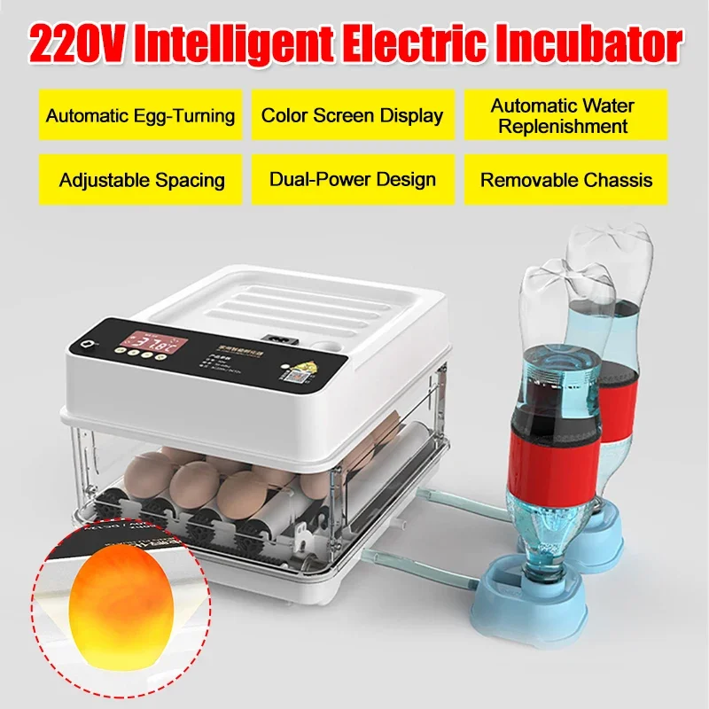 10/12 Eggs Incubator Fully Automatic Temperature Control Incubator Water Replenishment Thermoregulator Brooder Hatcher Machine