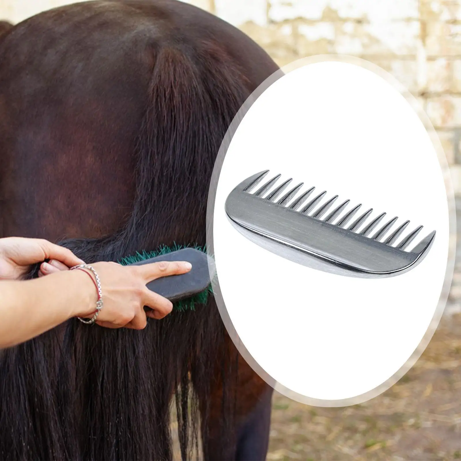 مشط الحصان لمستلزمات الحيوانات الأليفة، مشط العناية بالحصان للشعر القصير، الحيوانات الماشية