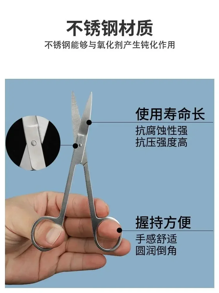 Stainless Steel Insect Dissection Scissors, Medical Biology Laboratory Equipment Tools, Dissection Needles view 4