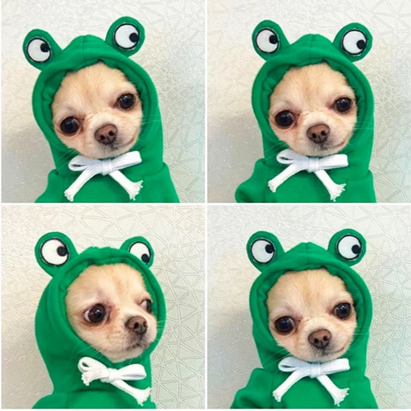 Autumn Dog Frog Hoodies for Small Dogs Cat Soft Warm Cozy Fleece Clothes Puppy Costume French Bulldog Chihuahua Pet Sweatshirts