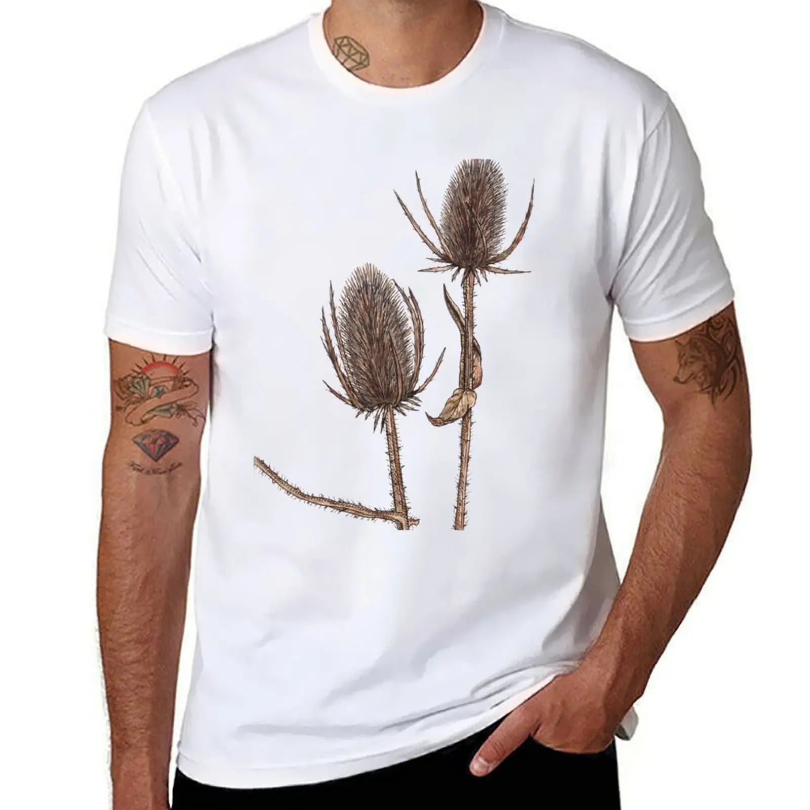 

Teasel Dipsacus Pods, Fullonum, Wild Seed Teasel Plant T-Shirt Gym Exercise Short Sleeve T-Shirt