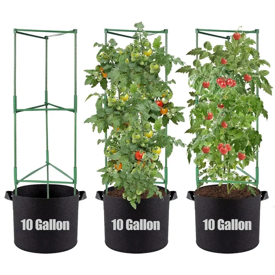 

3 комплекта опор для томатов с 10-галлонными мешками для выращивания, 48 устойчивых садовых горшков для растений, кашпо для цветов и овощей, горшки-шпалеры для вертикального выращивания томатов