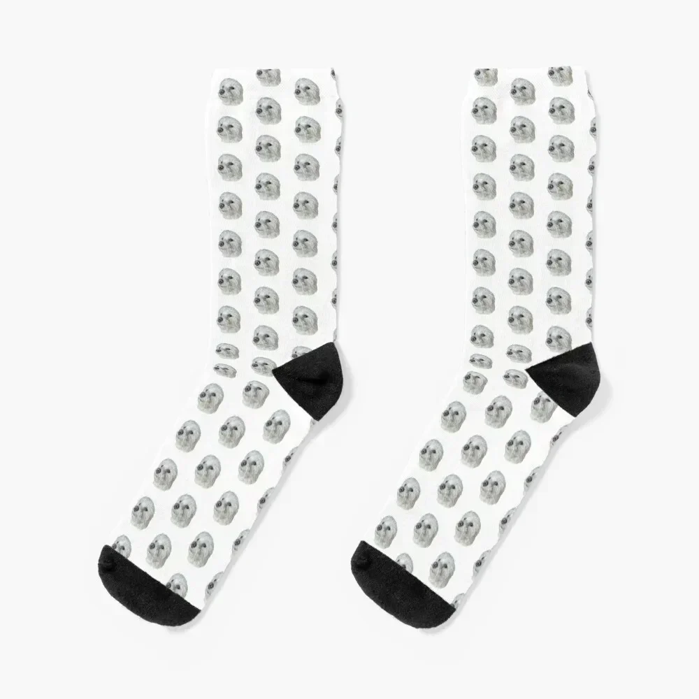 

Kiwi the Poodle Terrier Dog Socks new in's hockey funny gift Running Socks Women's Men's