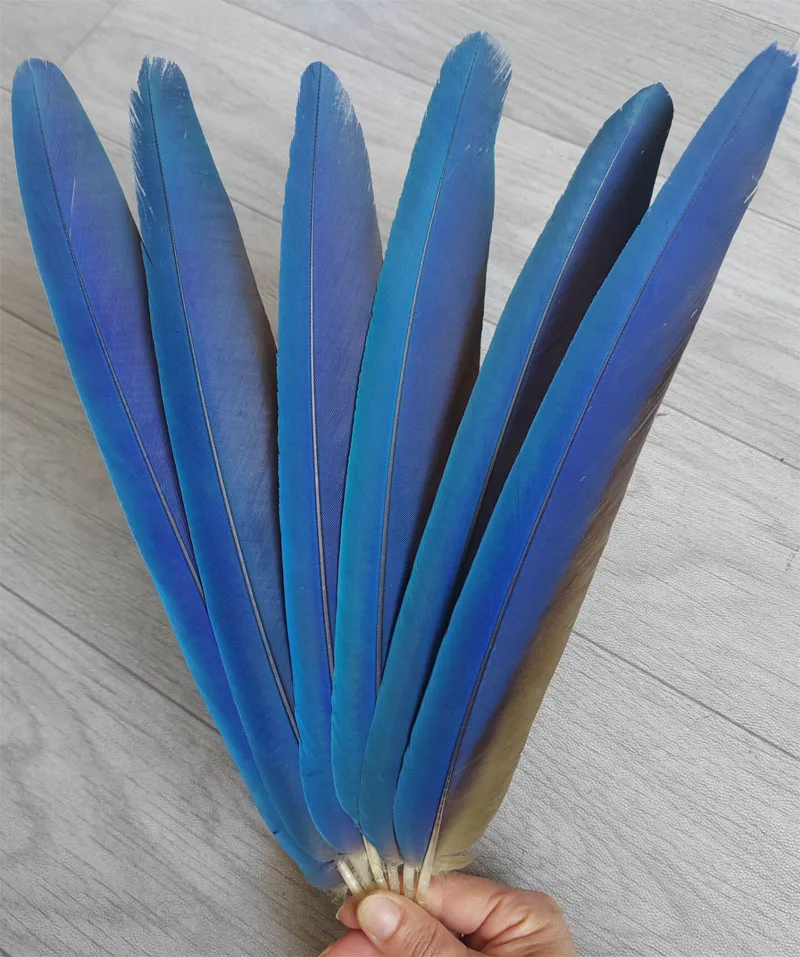 

6Pcs/lot 12-14inches 30-35cm long Natural Parrot Tail Feathers,Pretty Nature Blue Feathers For Headdress Accessories