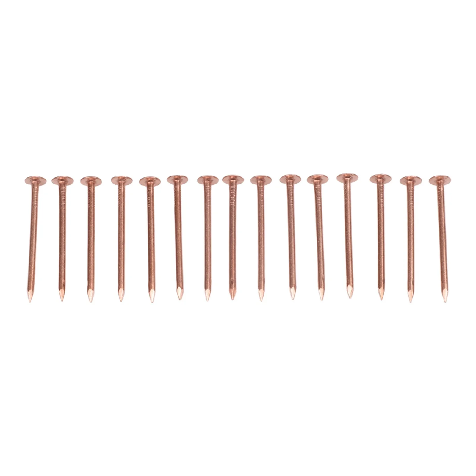 Gardening Solutions 2-inch Tree Stump Killer Stump Removal Spikes Effective Tree Management Non-Disturbing Method