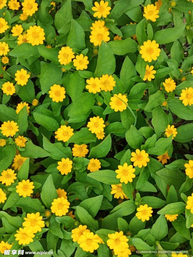 

RC car Metal upgrade, front and rear axle assembly, drive shaft set Fit for MN 1/12 tank 300 MN82 MN78 RC car accessories