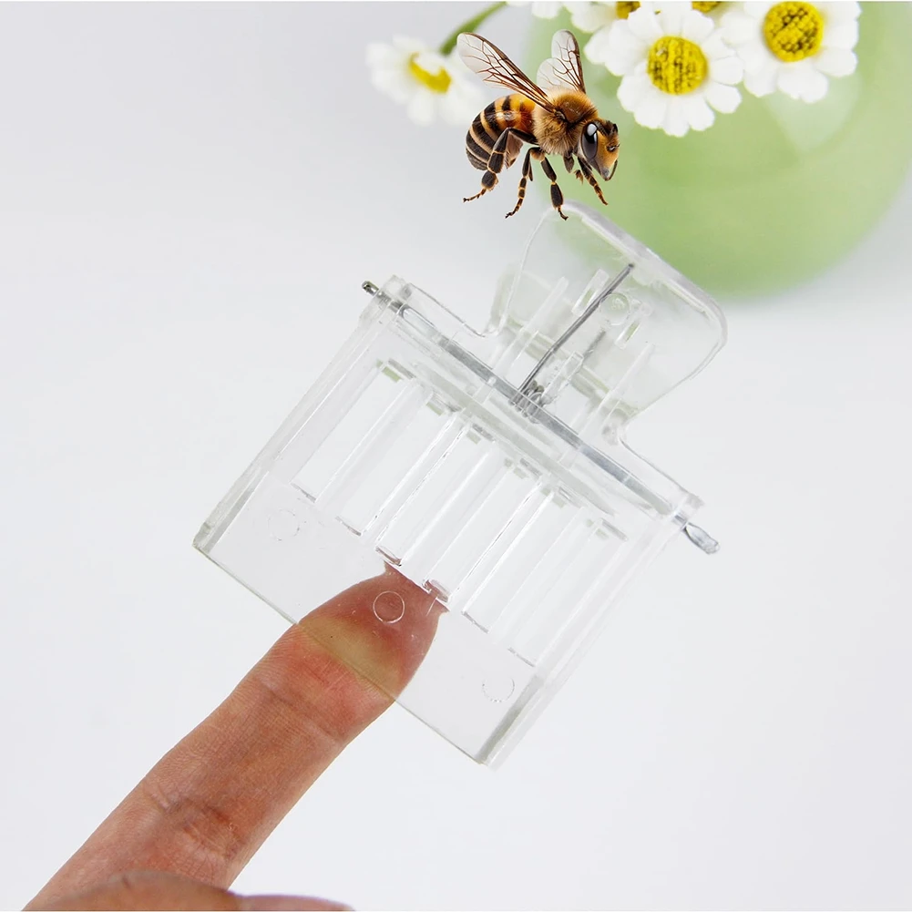 Beekeeping Transparent Clips Queen Bee Clip Queen Bee Cage Catcher Queen Bee Clips For Bees-Hot