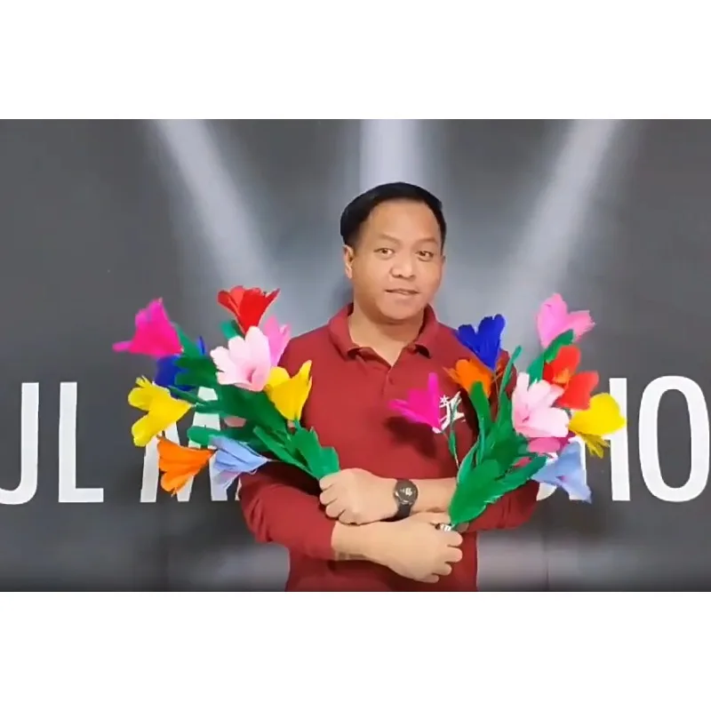 deluxe-cane-to-two-bouquets-magic-trick-v2-stage-illusion-professional-magician-party-comedy-show-teaching-props-magia