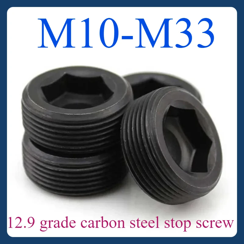 

M10 M12 M14 M16 M18~M33 Black Carbon Steel Grade 12.9 Stop Payment Hexagon Metric Screw Plug Tightening Screw