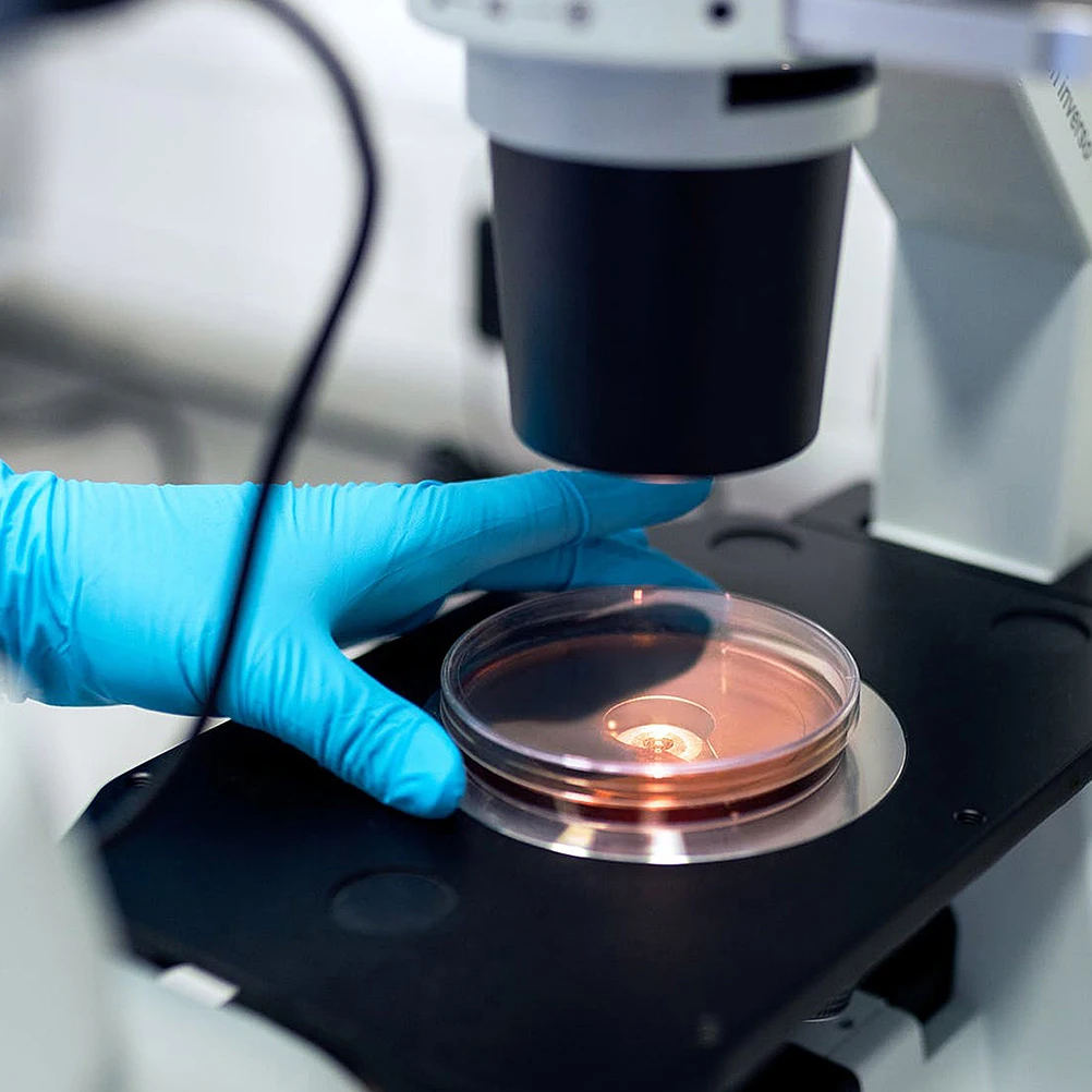 30 szt. misek Petriego 90 mm, plastikowe miseczki do hodowli, przezroczyste, do eksperymentów biologicznych, mikrobiologicznych, hodowli drożdży, jednorazowe