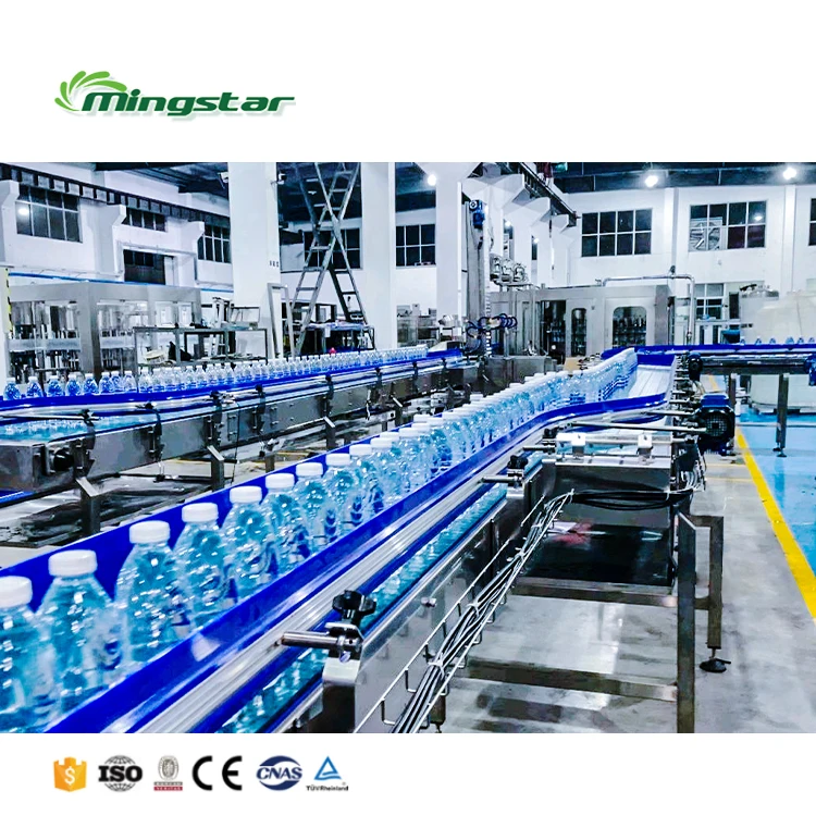 Automatic Small Business Liquid Packing Machine Pure Water Making Production Line Bottle Water Filling Machine