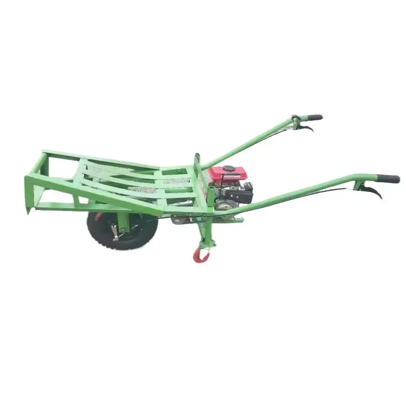 Gasoline Diesel Electric Wheelbarrow Two wheeled Cart Trolley