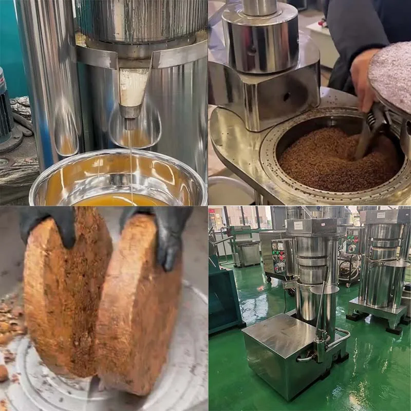 Commercial Cold Press Machine for Pumpkin Seed Castor Avocado Oil Extraction with Filtration System