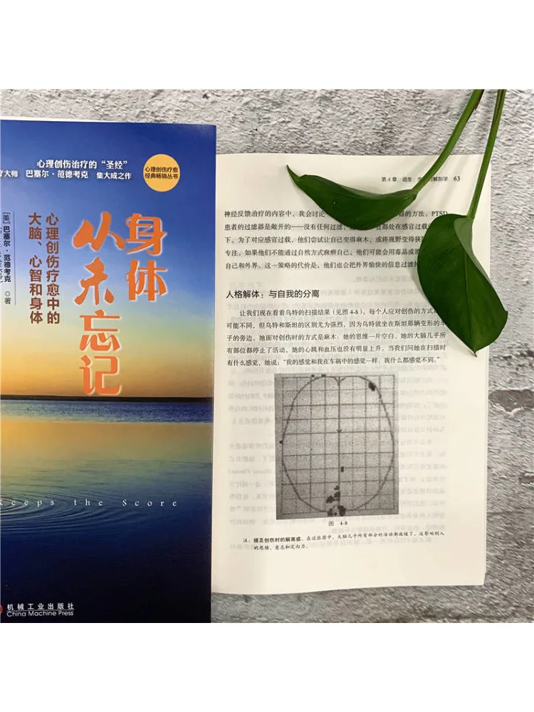 Book-Winshare The Body Has Never Been Forgotten the Brain Mental Intelligence and Body in der psychologischen Trauma-Heilung