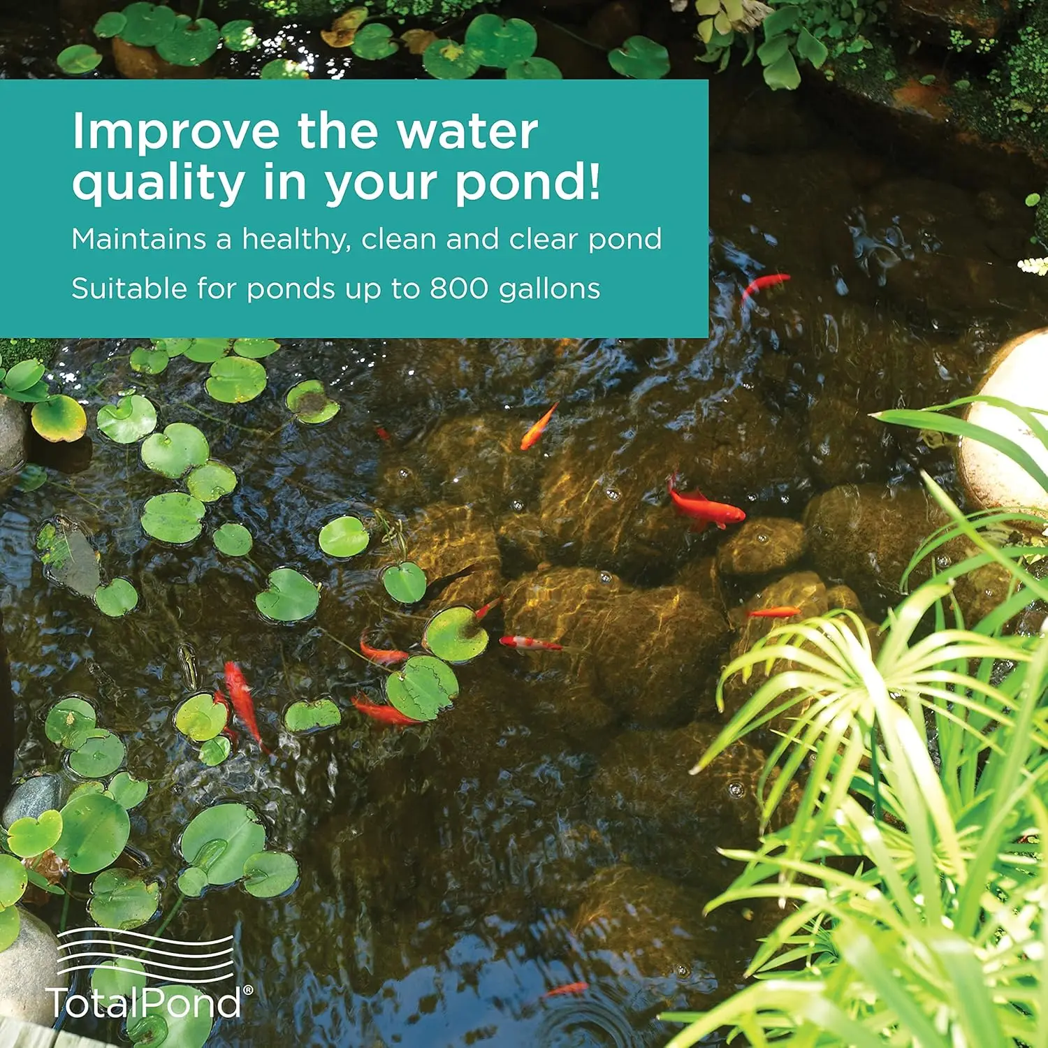 Complete Pond Filter with UV Clarifier Black Ideal for Removing Debris and Improving Water