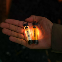 Ultra Compact Flashlight with Key Clip, Built-in Ambient LED, Long-Lasting Battery, Ideal for Disaster Relief, Model 5050