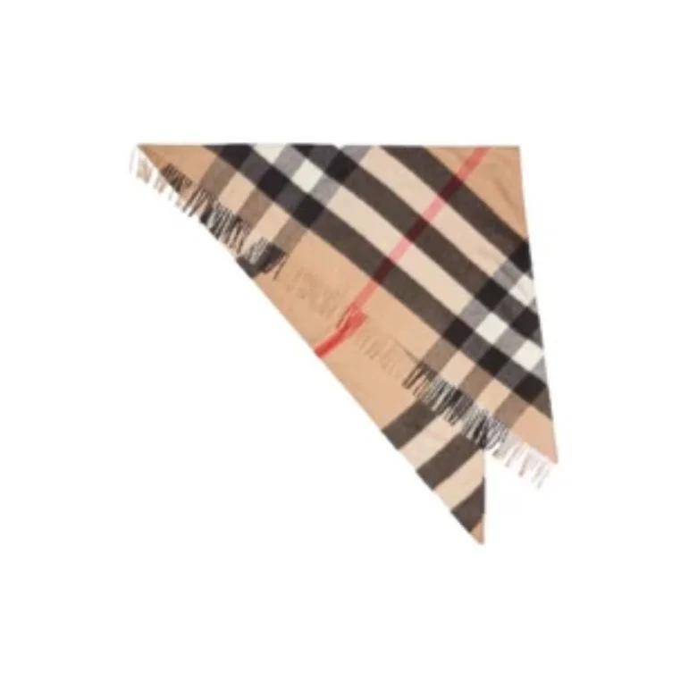 

Burberry Checked Fringed Edge Blanket 40653491